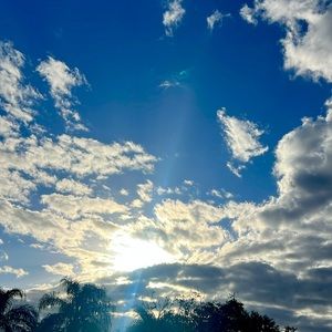 Meet your Posher, Evgenia